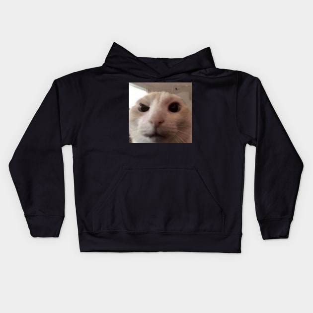 The Rock Meme - Cat Version Kids Hoodie by YourRequests
